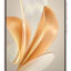 vivo v30e